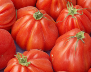 Pomodori